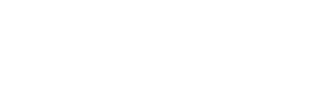 Plakust Logo